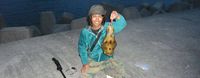 spearfishing kagoshima